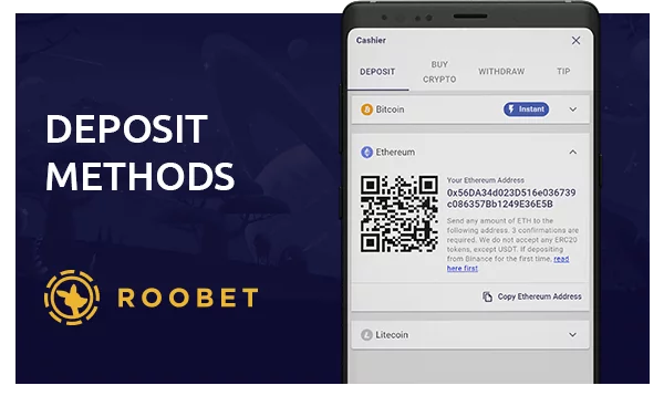 Roobet App  payment